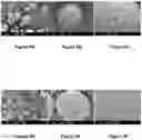 Fig. 09 - EXTENDED RELEASE FORMULATIONS OF CANNABINOIDS