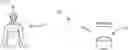 Fig. 01 - Oat and marigold based composition with anti-inflammatory and wound healing action and method of preparing same