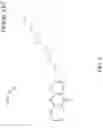 Fig. 05 - Oat and marigold based composition with anti-inflammatory and wound healing action and method of preparing same