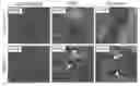 Fig. 08 - Compositions and methods for preventing and reducing inflammation and treating disorders associated with inflammation
