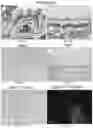 Fig. 02 - Compositions and methods for delivering lypophilic agents to dental pulp and for enhancing dentin production