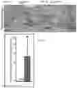 Fig. 08 - Compositions and methods for delivering lypophilic agents to dental pulp and for enhancing dentin production