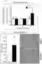 Fig. 11 - Compositions and methods for delivering lypophilic agents to dental pulp and for enhancing dentin production
