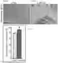 Fig. 14 - Compositions and methods for delivering lypophilic agents to dental pulp and for enhancing dentin production
