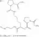 Fig. 124 - Compositions in the form of an injectable aqueous solution comprising amylin, an amylin receptor agonist or an amylin analog, and a co-polyamino acid