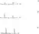 Fig. 155 - Compositions in the form of an injectable aqueous solution comprising amylin, an amylin receptor agonist or an amylin analog, and a co-polyamino acid