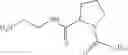 Fig. 47 - Compositions in the form of an injectable aqueous solution comprising amylin, an amylin receptor agonist or an amylin analog, and a co-polyamino acid