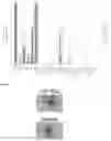 Fig. 09 - Methods and products for nucleic acid production and delivery