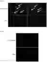 Fig. 10 - Methods and products for nucleic acid production and delivery