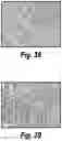 Fig. 33 - Methods and compositions for CNS delivery of iduronate-2-sulfatase