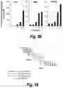 Fig. 48 - Methods and compositions for CNS delivery of iduronate-2-sulfatase