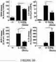 Fig. 09 - MULTIPLE-VARIABLE DOSE REGIMEN FOR TREATING DIABETES