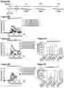 Fig. 06 - Compositions and Methods for Antigen-Specific Tolerance