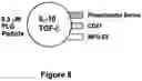 Fig. 10 - Compositions and Methods for Antigen-Specific Tolerance