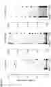 Fig. 06 - Immunogenic composition, use and method of treatment