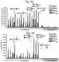 Fig. 04 - Methods and compositions for immunization against virus