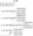 Fig. 07 - Methods and compositions for immunization against virus