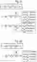 Fig. 08 - Methods and compositions for immunization against virus