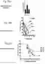 Fig. 23 - Methods and compositions for immunization against virus