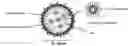 Fig. 01 - NANOEMULSION COMPRISING IMIDAZOQUINOLINE-BASED MATERIAL AND USE THEREOF