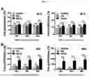 Fig. 08 - NANOEMULSION COMPRISING IMIDAZOQUINOLINE-BASED MATERIAL AND USE THEREOF