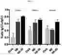 Fig. 13 - NANOEMULSION COMPRISING IMIDAZOQUINOLINE-BASED MATERIAL AND USE THEREOF