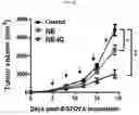 Fig. 22 - NANOEMULSION COMPRISING IMIDAZOQUINOLINE-BASED MATERIAL AND USE THEREOF
