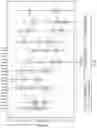 Fig. 17 - COMPOSITIONS COMPRISING ANTI-CD38 ANTIBODIES AND LENALIDOMIDE