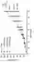 Fig. 23 - COMPOSITIONS COMPRISING ANTI-CD38 ANTIBODIES AND LENALIDOMIDE