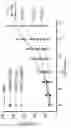 Fig. 24 - COMPOSITIONS COMPRISING ANTI-CD38 ANTIBODIES AND LENALIDOMIDE