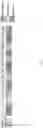 Fig. 03 - AGONIST ANTIBODIES THAT BIND HUMAN CD137 AND USES THEREOF