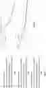 Fig. 04 - AGONIST ANTIBODIES THAT BIND HUMAN CD137 AND USES THEREOF