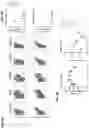 Fig. 07 - AGONIST ANTIBODIES THAT BIND HUMAN CD137 AND USES THEREOF