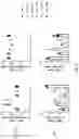Fig. 10 - AGONIST ANTIBODIES THAT BIND HUMAN CD137 AND USES THEREOF
