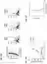 Fig. 14 - AGONIST ANTIBODIES THAT BIND HUMAN CD137 AND USES THEREOF