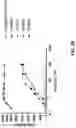 Fig. 32 - AGONIST ANTIBODIES THAT BIND HUMAN CD137 AND USES THEREOF