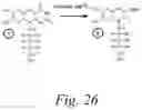 Fig. 26 - Systems, Methods, and Compositions For Cross-Linking Treatments of an Eye