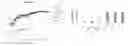 Fig. 01 - Peptide for cytosolic delivery