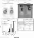 Fig. 10 - Peptides whose uptake in cells is controllable