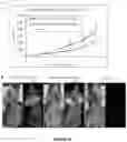 Fig. 16 - Peptides whose uptake in cells is controllable
