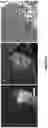 Fig. 24 - Peptides whose uptake in cells is controllable
