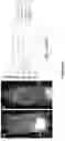 Fig. 25 - Peptides whose uptake in cells is controllable