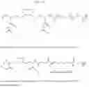 Fig. 06 - CYCLODEXTRIN-BASED POLYMERS FOR THERAPEUTIC DELIVERY