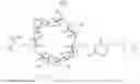 Fig. 08 - CYCLODEXTRIN-BASED POLYMERS FOR THERAPEUTIC DELIVERY