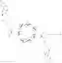 Fig. 100 - CYCLODEXTRIN-BASED POLYMERS FOR THERAPEUTIC DELIVERY