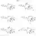 Fig. 15 - CYCLODEXTRIN-BASED POLYMERS FOR THERAPEUTIC DELIVERY