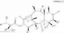 Fig. 150 - CYCLODEXTRIN-BASED POLYMERS FOR THERAPEUTIC DELIVERY