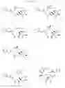Fig. 16 - CYCLODEXTRIN-BASED POLYMERS FOR THERAPEUTIC DELIVERY