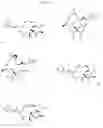 Fig. 17 - CYCLODEXTRIN-BASED POLYMERS FOR THERAPEUTIC DELIVERY