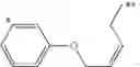Fig. 171 - CYCLODEXTRIN-BASED POLYMERS FOR THERAPEUTIC DELIVERY